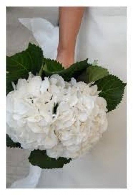 bouquet ortensia bianca