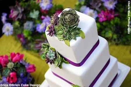 Torta con piante grasse