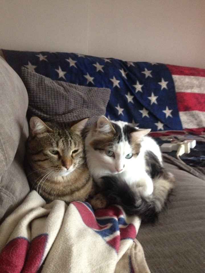 La mia tiara....e il mio buffo  peloso! - 1