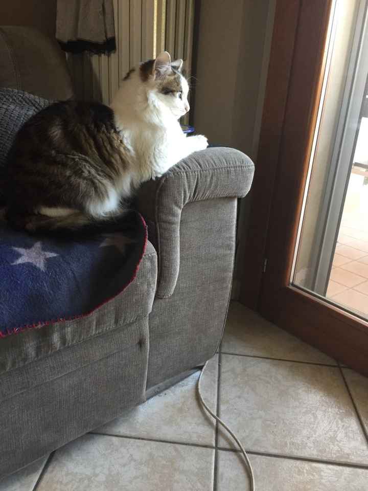 Vi presento nina! - 2