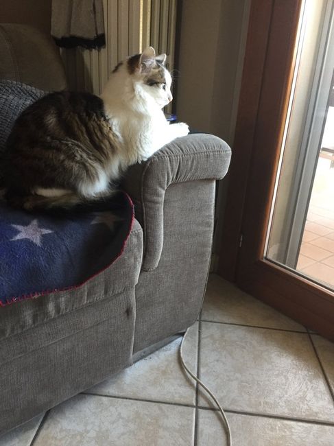 Vi presento nina! - 2