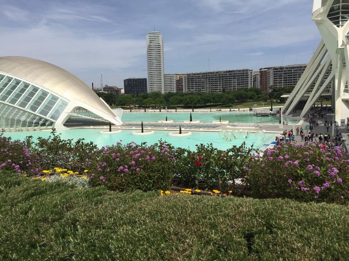 Addio al nubilato fantastico - 3