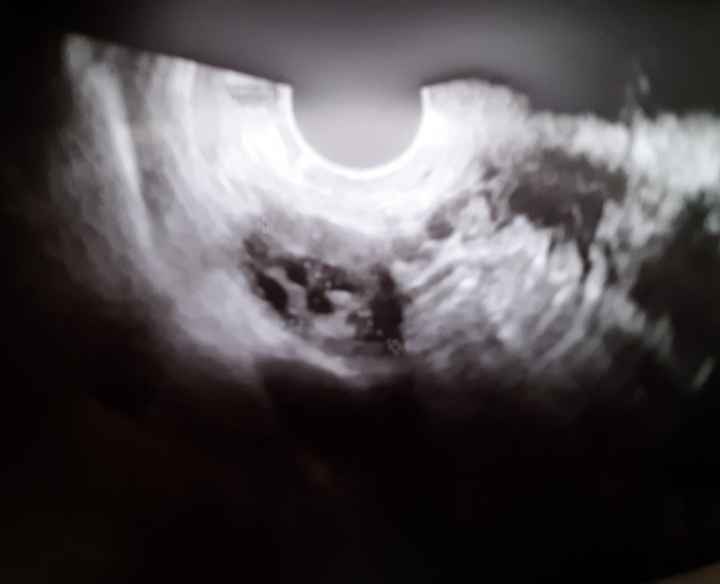 Chi non le aspetta per Aprile 2022 💓🍀🤞🏼 - 1