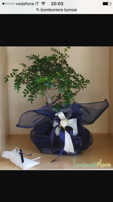 Bomboniere e fazzoletti - 2