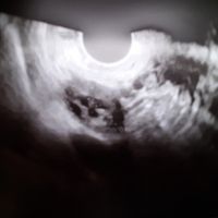 Chi non le aspetta per Aprile 2022 💓🍀🤞🏼 - 1