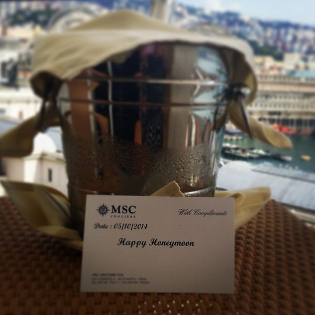 Msc splendida opinione luna di miele - 3