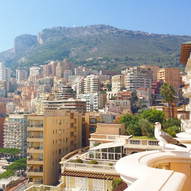 Settimana da favola presso hotel hermitage monte-carlo - 3