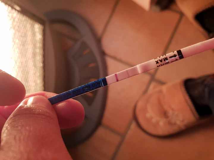 Gennaio 2019 aspiranti mamme in cerca del positivo!! - 1