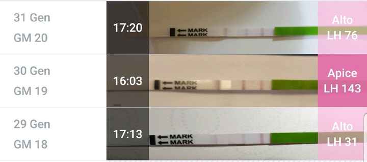 Help test ovulazione - 1