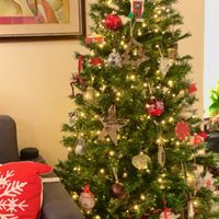 Avete mai fatto l'albero insieme? - 1