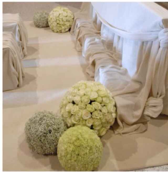 Che fiori sono ?! - 1