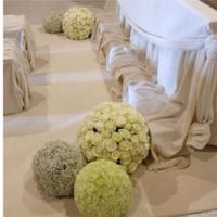 Che fiori sono ?! - 1