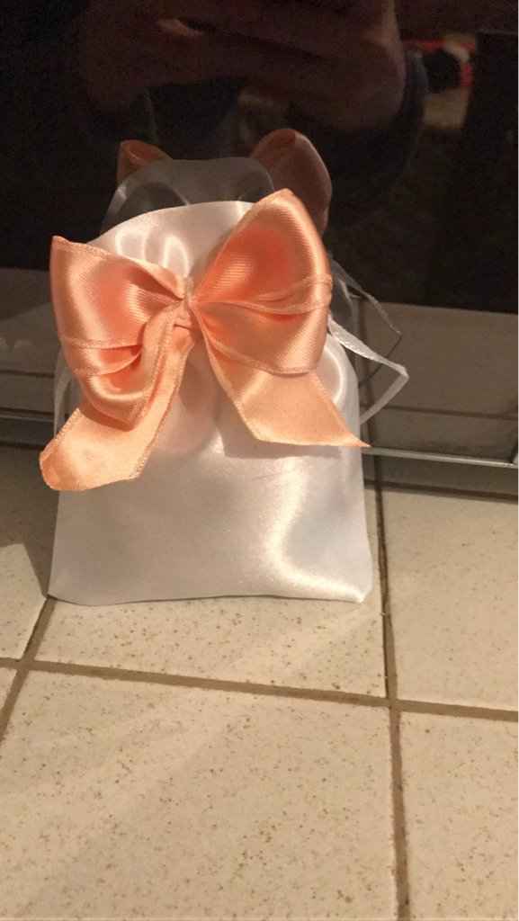 Sacchetto non invitati - 1