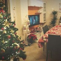 Il nostro primo Natale insieme 😍😍😍😍 - 2