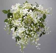 questo sara il mio , e lo stesso di Kate Mideltton