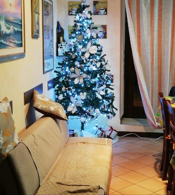 Fatto anche l'albero di Natale! - 1