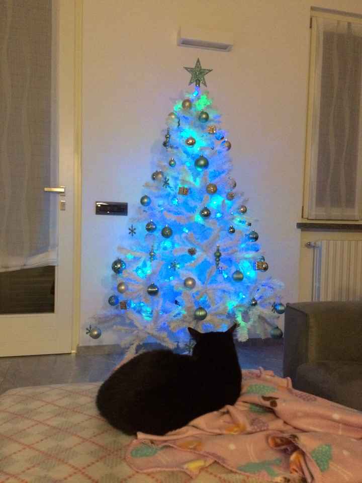  Primo albero da marito e moglie nella nuova casa 😍🎄💫❄️ - 2
