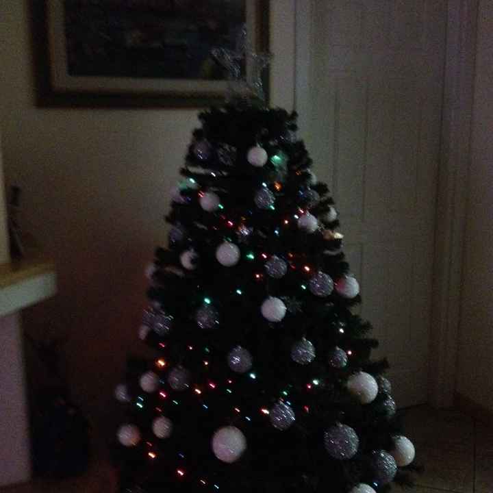 Ultimo natale da conviventi - 1