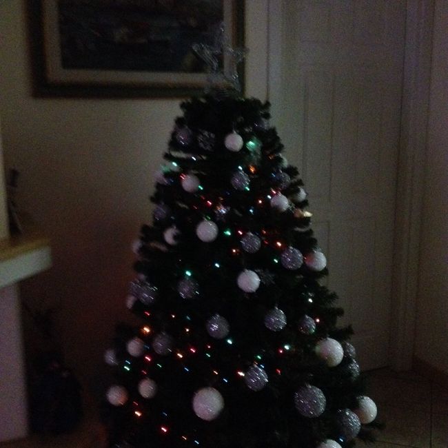 Ultimo natale da conviventi - 1