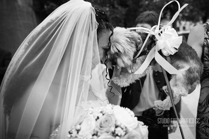 Sposati finalmente - 6