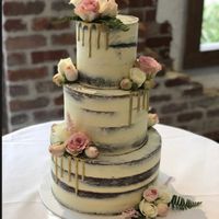 Torta scelta - similare