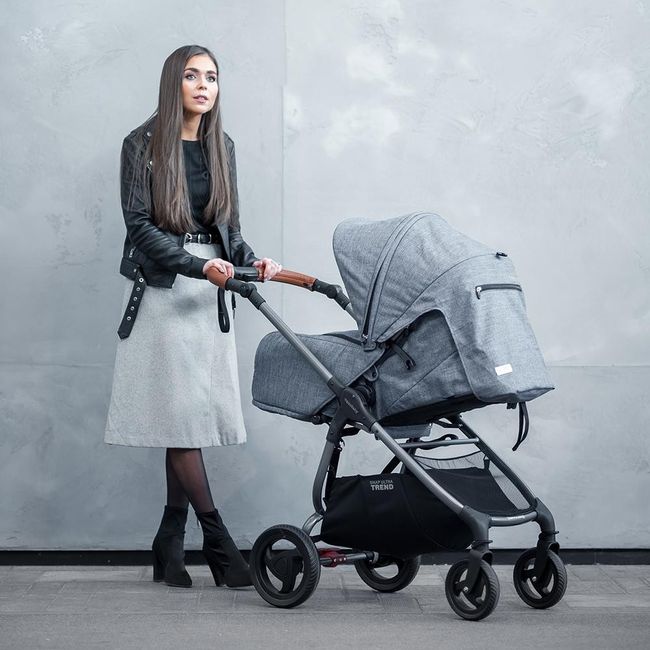 Trio, passeggini, carrozzine, come e quale scegliere? 14