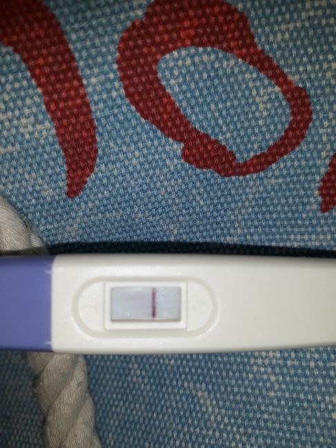 Test di gravidanza 2