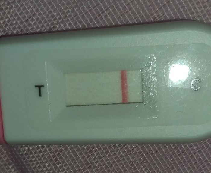 Chi non le aspetta per novembre 2019 2