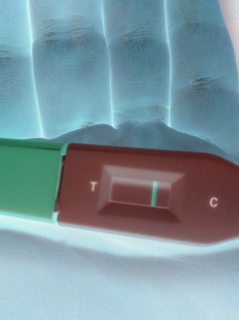 Chi non le aspetta per novembre 2019 1