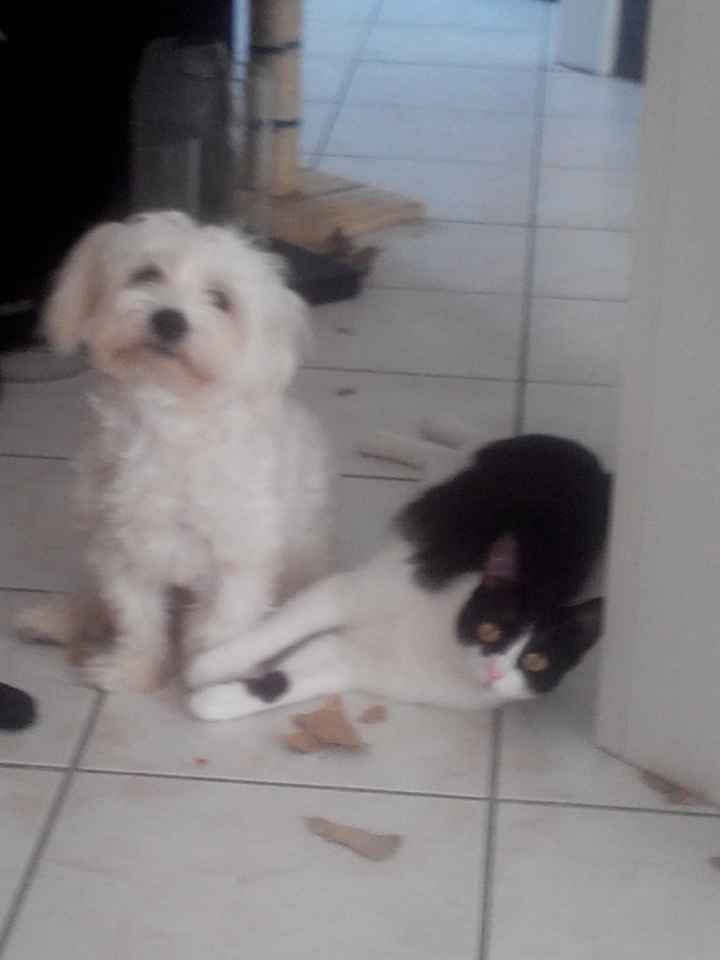 Partecipazioni con ritratto! - 1