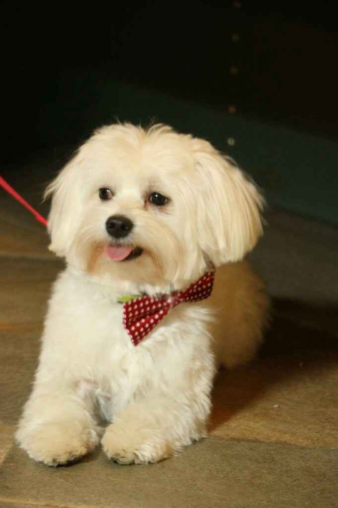 11.12.2016 e sono la moglie più felice del mondo!! - 7