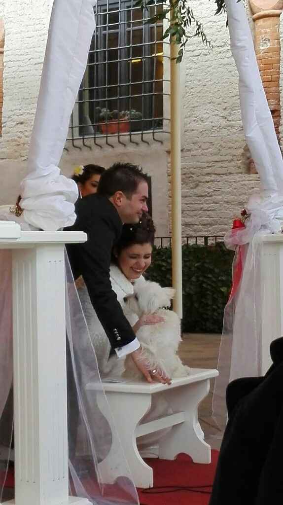 11.12.2016 e sono la moglie più felice del mondo!! - 9