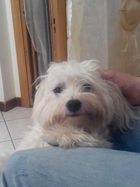 La nuova arrivata ?? - 1