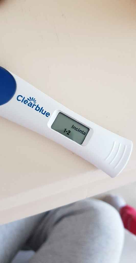 Stick gravidanza canadesi - 1