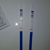 Stick gravidanza canadesi - 1