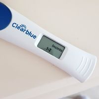 Stick gravidanza canadesi - 1