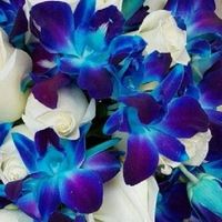 Qual è il tuo fiore preferito? - 1