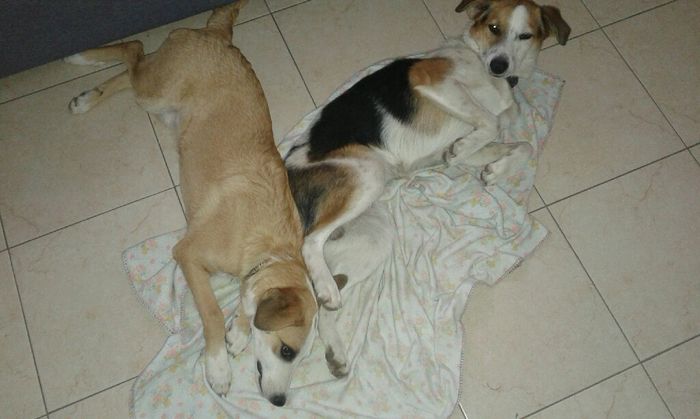 Trilly sarà con me :) - 1