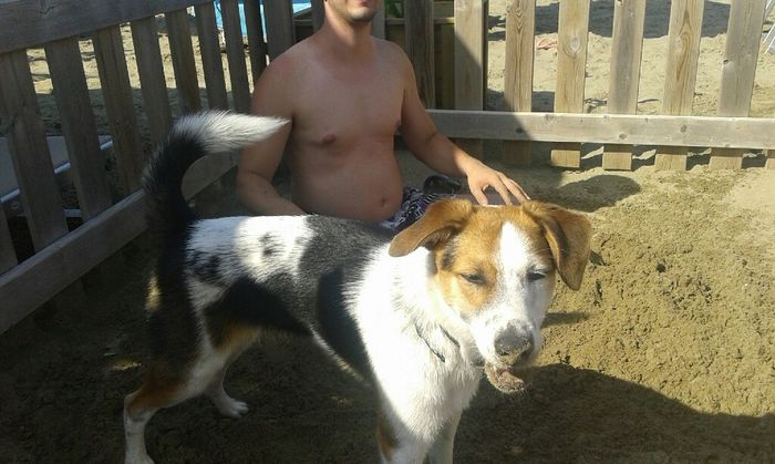 Amici pelosi e non. - 2