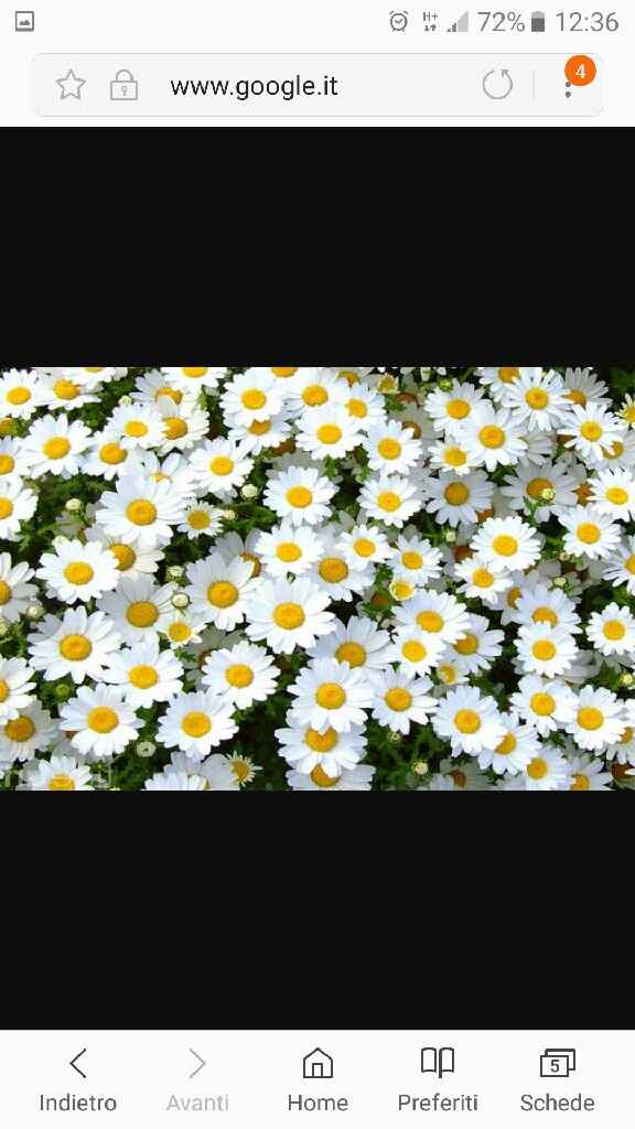 I miei fiori - 2.09.17 - 1