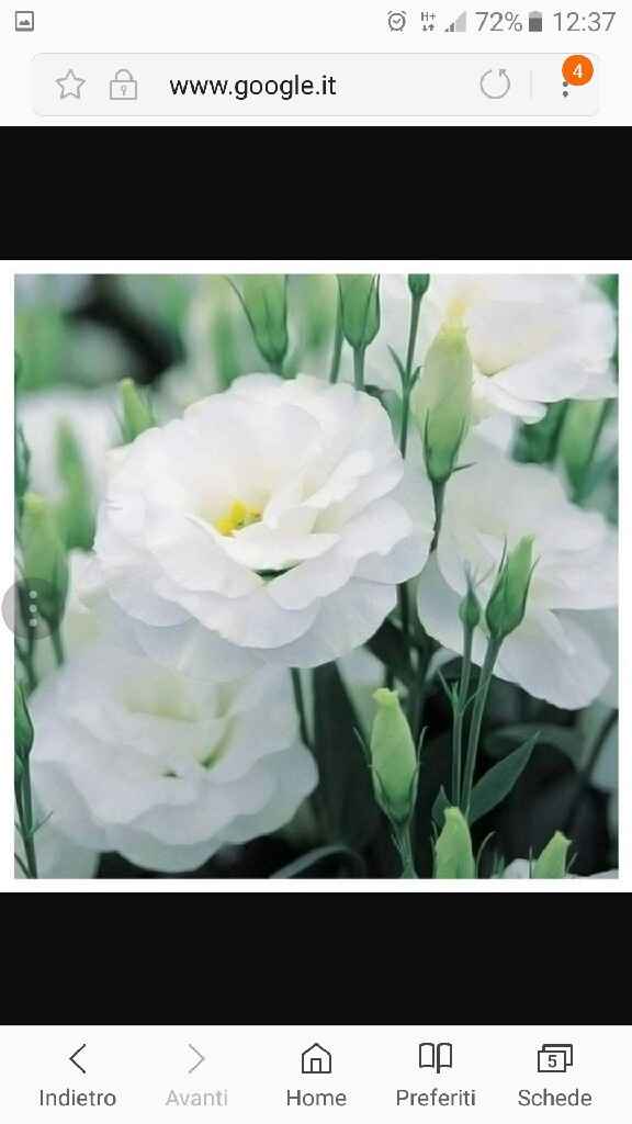 I miei fiori - 2.09.17 - 3