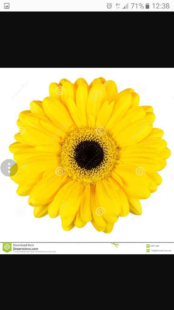 E voi con che fiori andrete all'altare? - 1