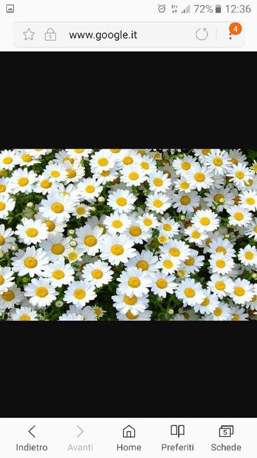 E voi con che fiori andrete all'altare? - 2