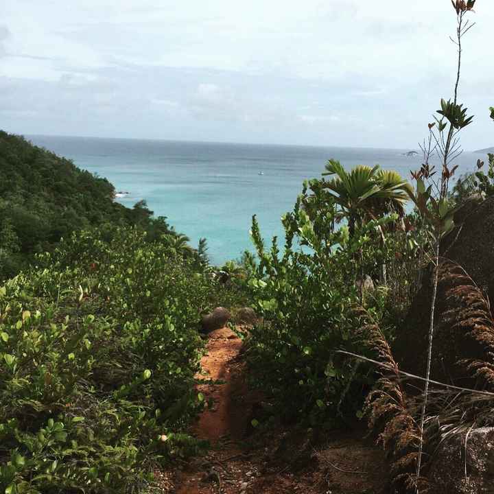 Seychelles appena tornati - 6