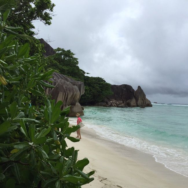 Seychelles appena tornati - 7