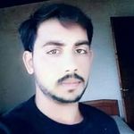 00393384133962
