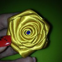 Rosa fai da te per il mio matrimonio