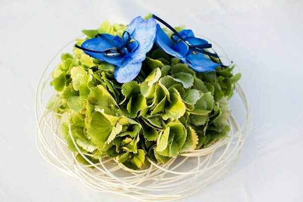 Portafedi alternativo e originale - 3