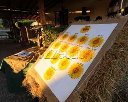 matrimonio tema girasoli