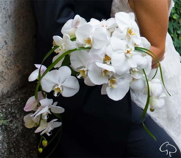 bouquet orchidee